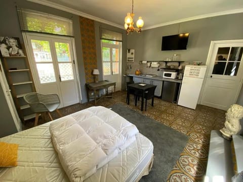Bed, Kitchen or kitchenette, Living room, Photo of the whole room, Bedroom