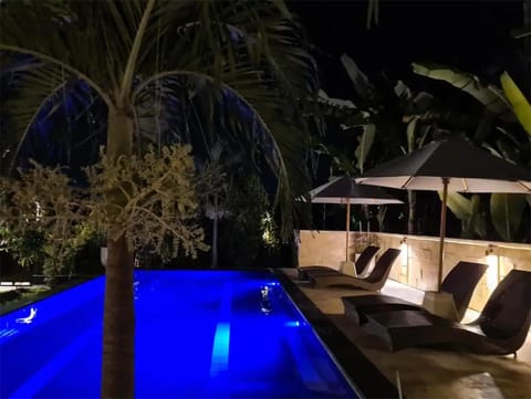 Night, Garden, Garden view, Pool view, Swimming pool, sunbed