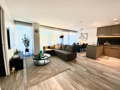 Living room, Seating area, kitchen