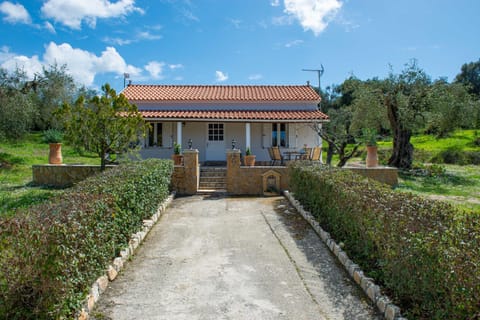 Property building, Natural landscape, Garden