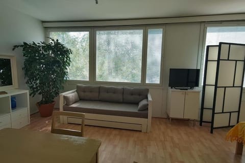 Huoneisto 1 - 4 hengelle Apartment in Uusimaa