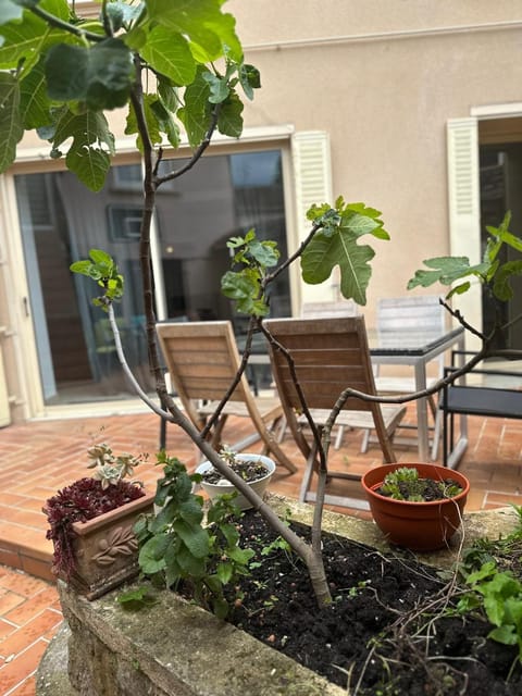 Maison 6 ch avec jacuzzi, PROMO AUTOMNE 2025 House in Bourgoin-Jallieu