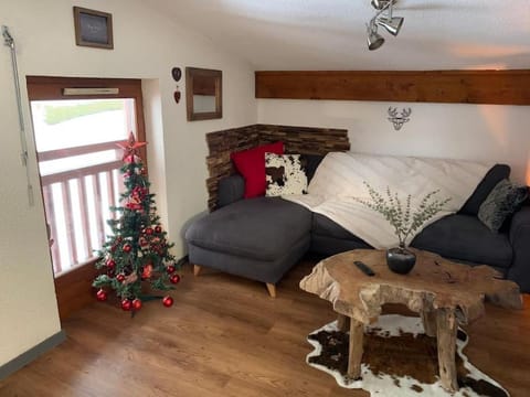 Chalet le Daim appartement 6 pers Vue Mont-Blanc Apartment in Combloux