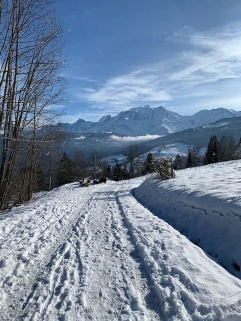 Chalet le Daim appartement 6 pers Vue Mont-Blanc Apartment in Combloux