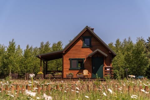 Property building, Spring, Natural landscape, Garden, Garden view
