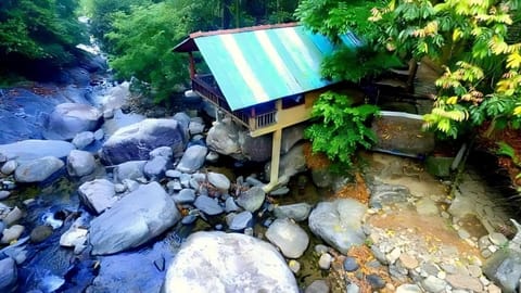 Natural landscape, Garden, River view