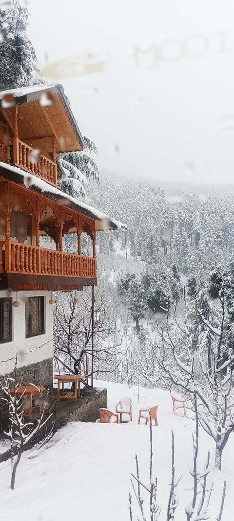View (from property/room)