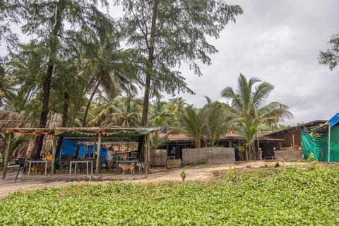 Facade/entrance, View (from property/room), Beach, Beach