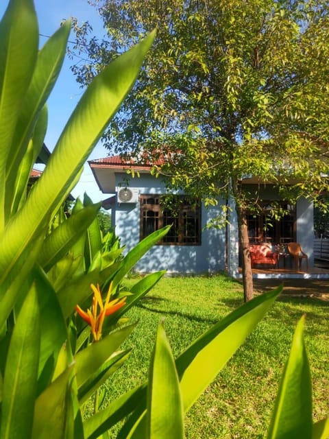 Day, Garden, Garden view
