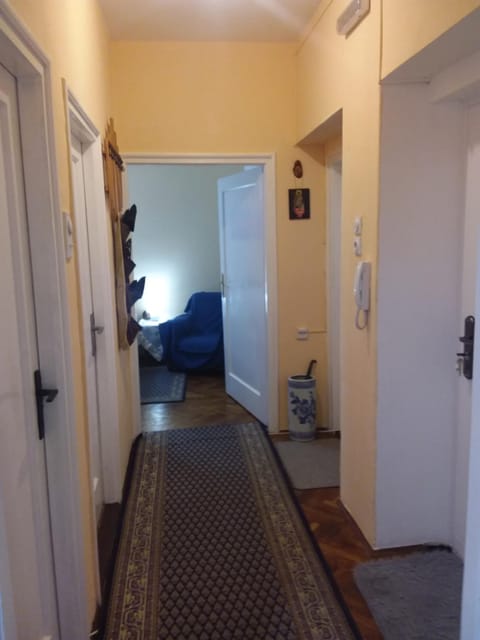 Ikaria Apartment in Serbia