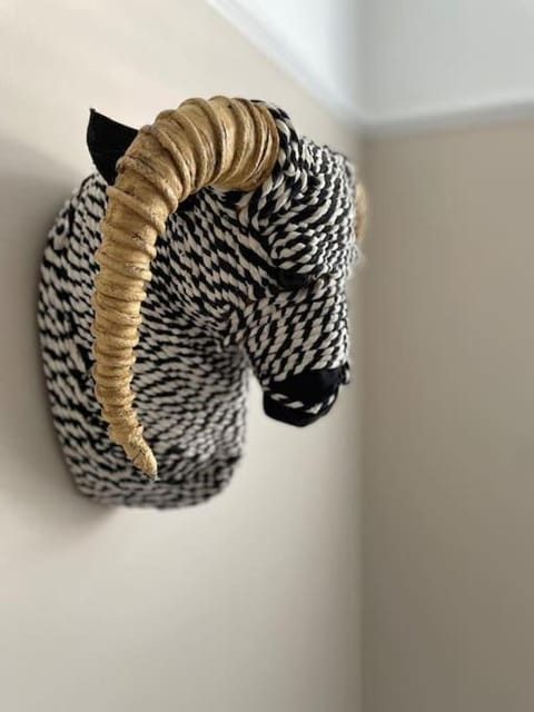 Roath Park Lake 5BR City Retreat House in Cardiff