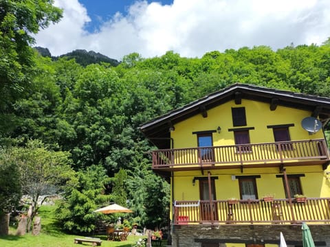 Property building, Natural landscape, Garden, Garden view