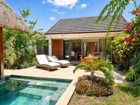 Garden, Garden view, Swimming pool
