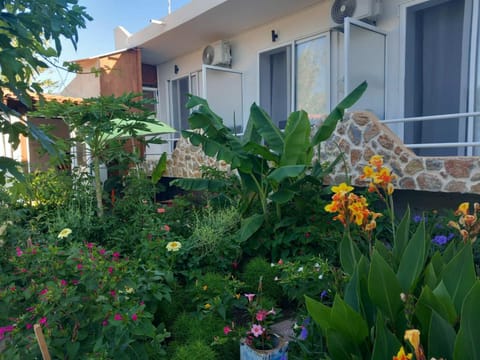 Property building, Garden, Garden view