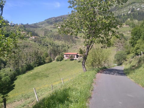 Natural landscape