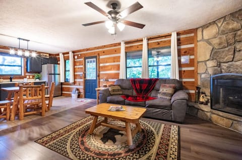 Living room, kitchen