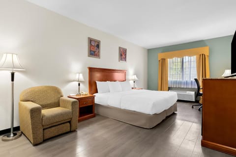 Toilet, Bed, TV and multimedia, Photo of the whole room, Seating area, Bedroom