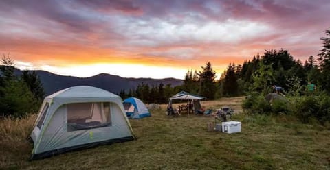Day, People, Natural landscape, Mountain view, Sunrise, Sunset, group of guests