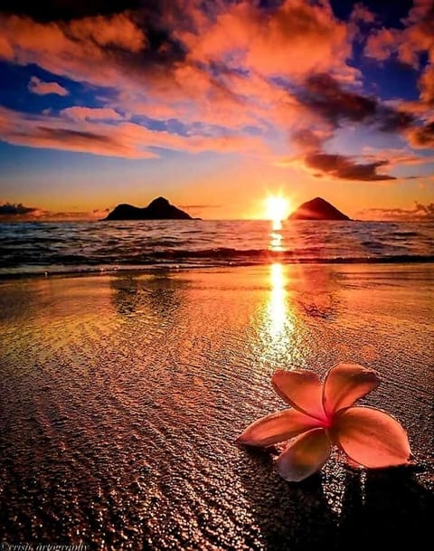 Natural landscape, Beach, Sea view, Sunset