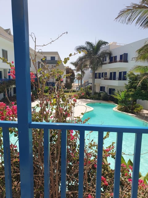 Property building, Day, Garden, Garden view, Pool view, Swimming pool