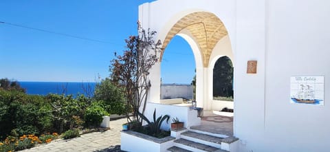 Garden, Sea view