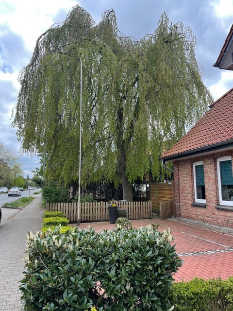 Day, Garden view, Street view