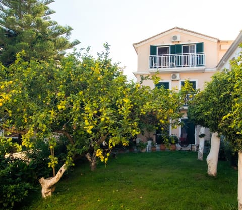Property building, Spring, Day, Garden, Garden view