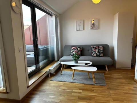 Luxury Apartment With Private Terrace Apartment in Gothenburg