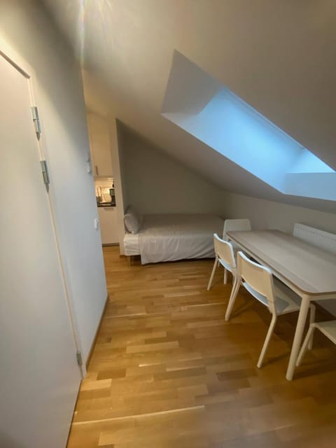 Luxurious Flat With A Private Rooftop Terrace Apartment in Gothenburg