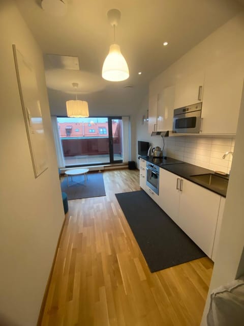 Luxurious Flat With A Private Rooftop Terrace Apartment in Gothenburg