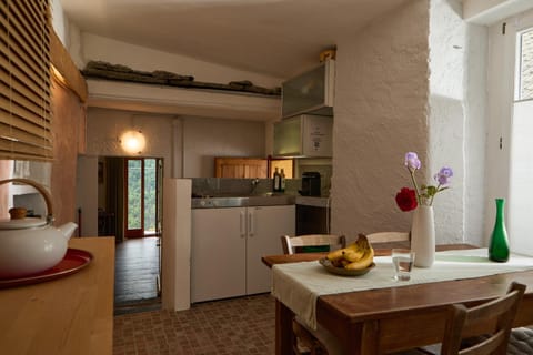 Wild Valley Garden Paradise in Valle Onsernone Apartment in Canton of Ticino