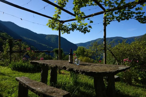Wild Valley Garden Paradise in Valle Onsernone Apartment in Canton of Ticino