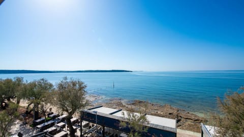 Apartment Lion with Sea View Apartment in Novigrad