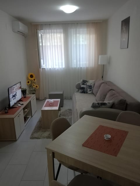 JelaLux Apartment in Serbia