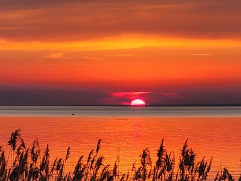 Lake view, Sunset