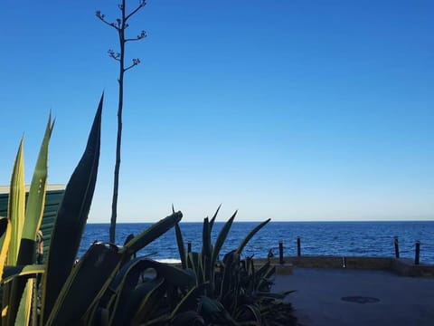 Natural landscape, Beach, Sea view