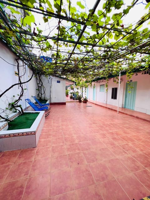 Patio, Garden, Garden view