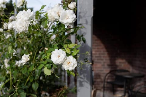 Classic Cottage: Near CBD Hospital & Parking House in Launceston