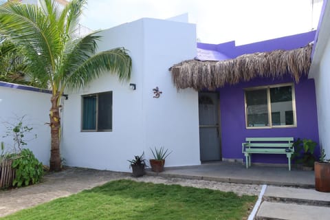 Property building, Facade/entrance, Garden