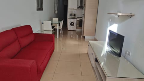 TV and multimedia, Kitchen or kitchenette, Living room, Seating area, Dining area, Evening entertainment, oven, pet friendly, washing machine