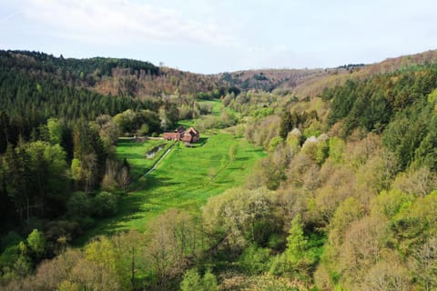 Natural landscape, Bird's eye view