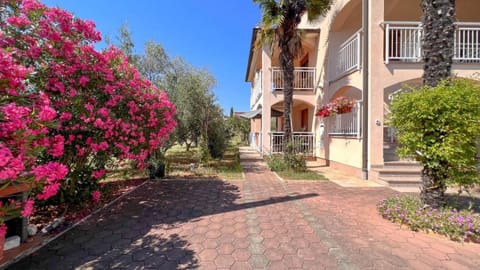 Patio, Garden