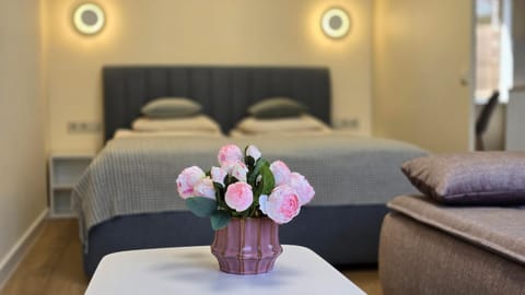 Studio Anna Apartment in Lithuania