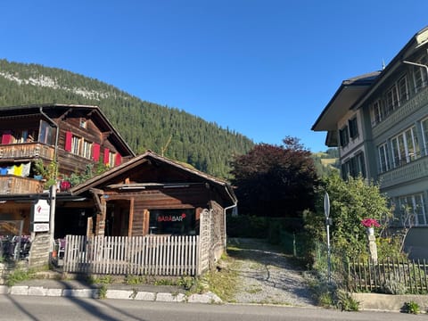 Region de Gstaad - Ultra Modern Apartment- Huge Roof Terrace - Great Views Apartment in Saanen