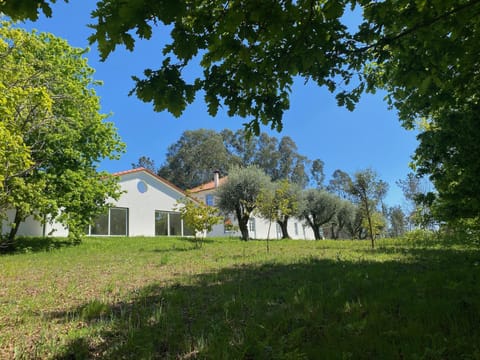 Property building, Spring, Natural landscape
