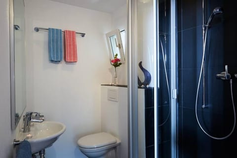 Wild Valley Palm Garden in Valle Onsernone Apartment in Canton of Ticino