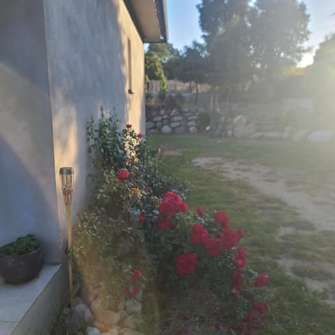 Casa di l Alivetu Villa in Ventiseri