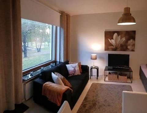 Studio Apartment 31m2 Apartment in Rovaniemi