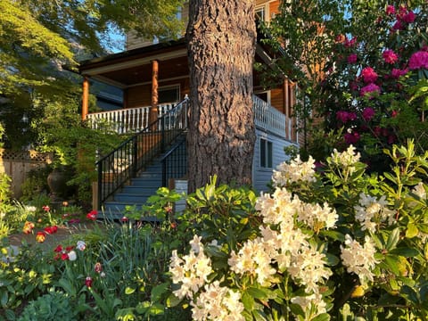 Property building, Spring