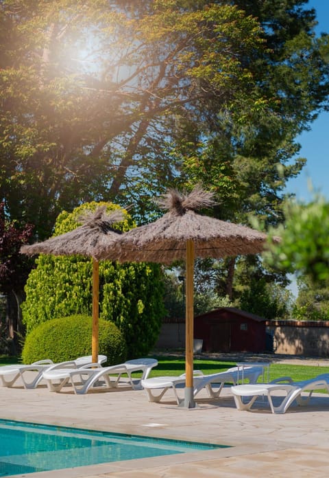 Natural landscape, Garden, Garden view, Pool view, Swimming pool